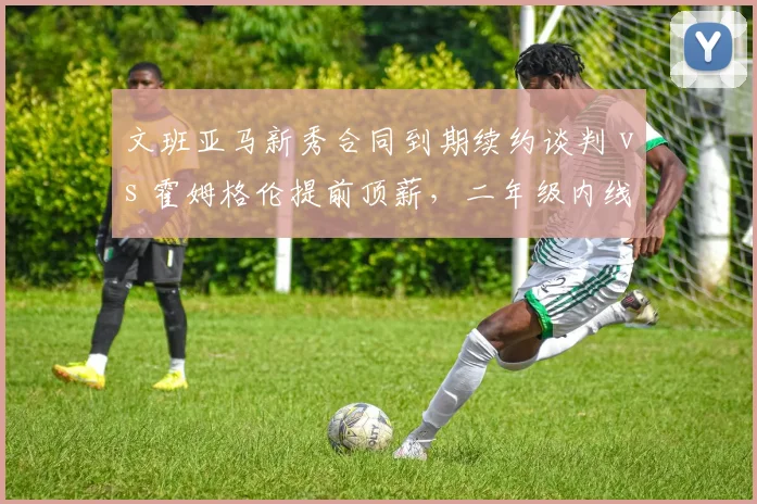 文班亚马新秀合同到期续约谈判 vs 霍姆格伦提前顶薪，二年级内线身价对比