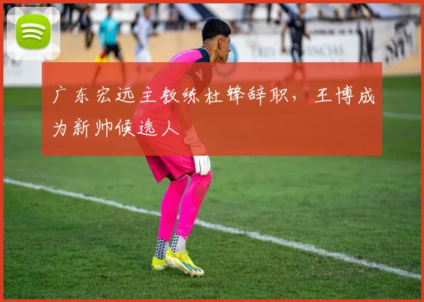广东宏远主教练杜锋辞职，王博成为新帅候选人