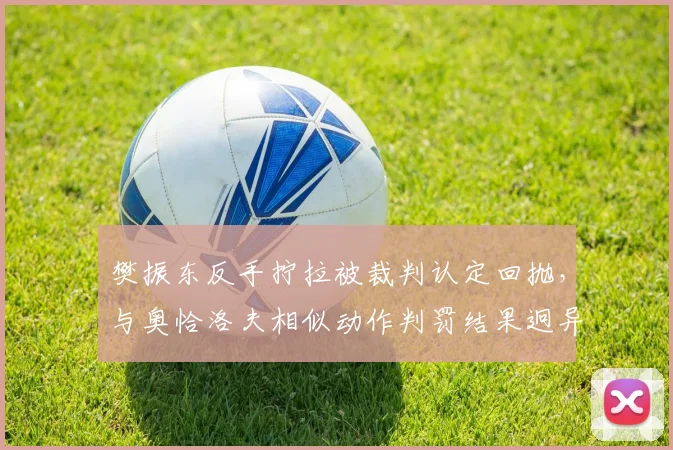 樊振东反手拧拉被裁判认定回抛，与奥恰洛夫相似动作判罚结果迥异
